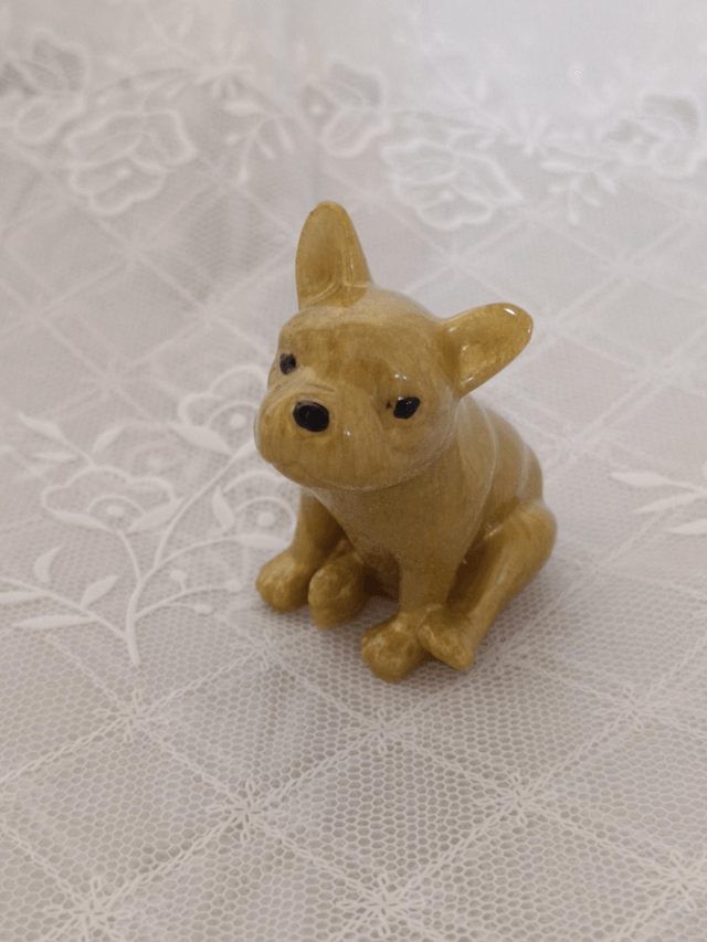 Chien